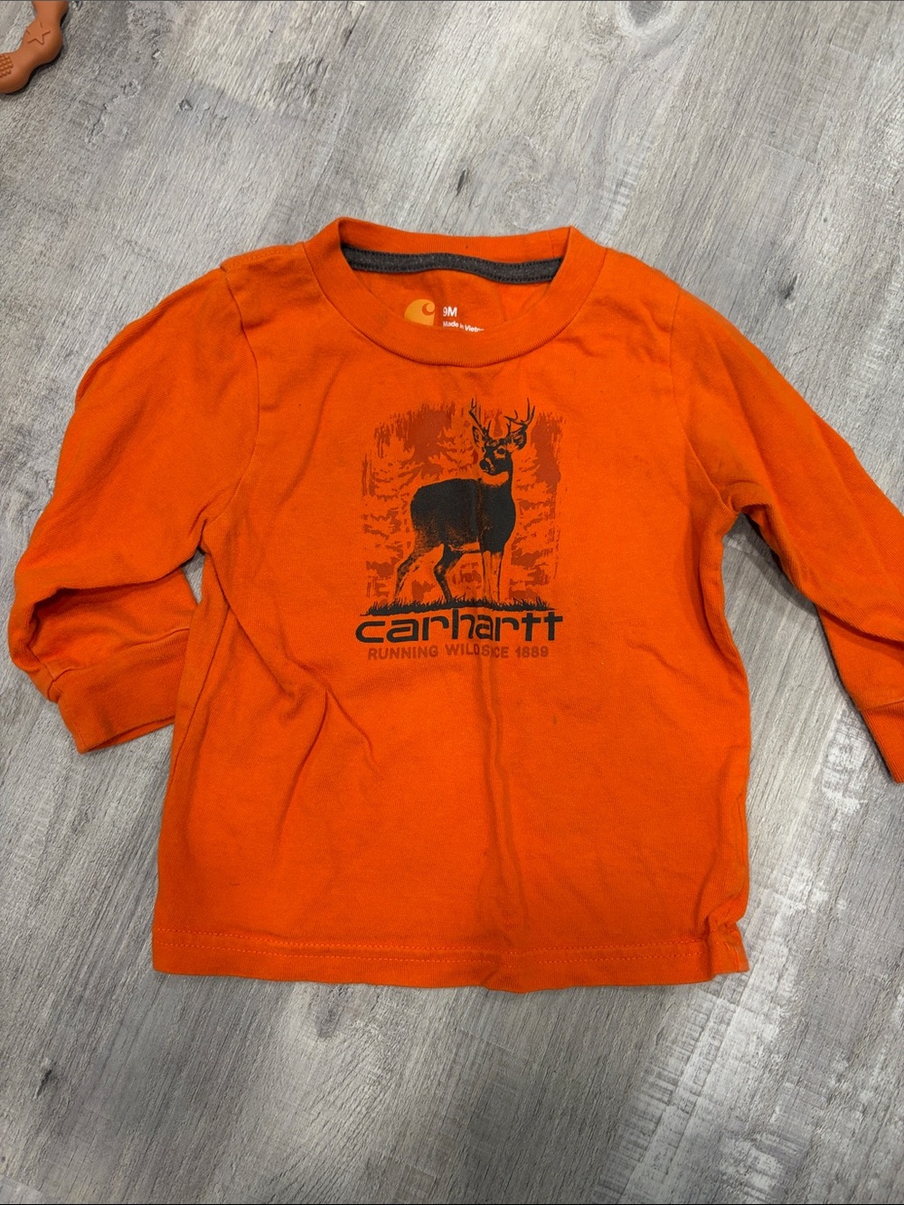 Carhartt Orange Long-Sleeve Boys' Graphic Tee with Deer Print